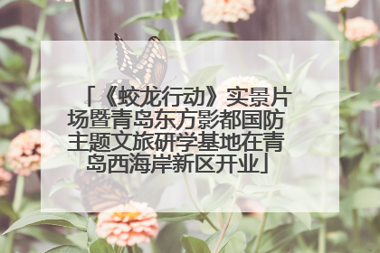 《蛟龙行动》实景片场暨青岛东方影都国防主题文旅研学基地在青岛西海岸新区开业