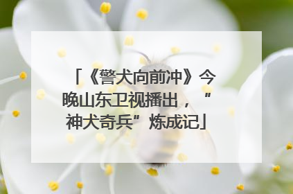 《警犬向前冲》今晚山东卫视播出，“神犬奇兵”炼成记