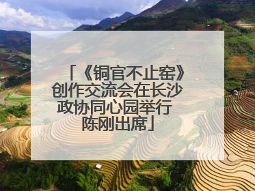 《铜官不止窑》创作交流会在长沙政协同心园举行 陈刚出席