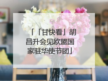 「甘快看」胡昌升会见欧盟国家驻华使节团