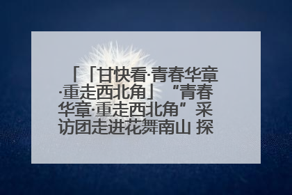 「甘快看·青春华章·重走西北角」“青春华章·重走西北角”采访团走进花舞南山 探寻天水乡村振兴之路