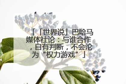 「世界说」巴哈马媒体社论：与谁合作，自有判断，不会沦为“权力游戏”