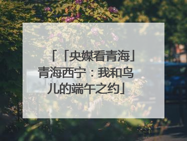 「央媒看青海」青海西宁：我和鸟儿的端午之约