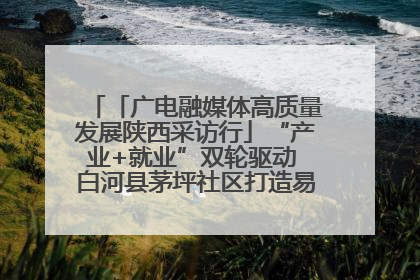 「广电融媒体高质量发展陕西采访行」“产业+就业”双轮驱动 白河县茅坪社区打造易地搬迁后扶新样本