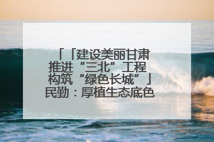 「建设美丽甘肃 推进“三北”工程 构筑“绿色长城”」民勤：厚植生态底色 筑牢绿色屏障