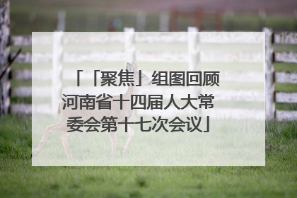 「聚焦」组图回顾河南省十四届人大常委会第十七次会议