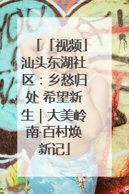 「视频」汕头东湖社区：乡愁归处 希望新生｜大美岭南·百村焕新记