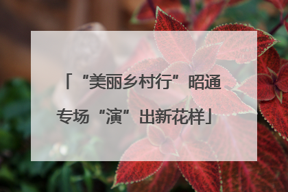 “美丽乡村行”昭通专场“演”出新花样
