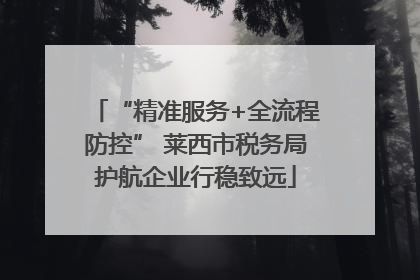 “精准服务+全流程防控” 莱西市税务局护航企业行稳致远