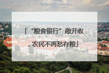 “粮食银行”敞开收，农民不再愁存粮