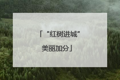 “红树进城” 美丽加分