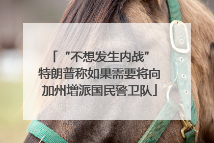 “不想发生内战” 特朗普称如果需要将向加州增派国民警卫队