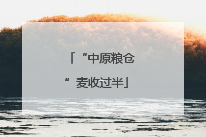 “中原粮仓”麦收过半