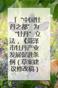“中国牡丹之都”为“牡丹”立法，《菏泽市牡丹产业发展促进条例（草案建议修改稿）》公开征求意见