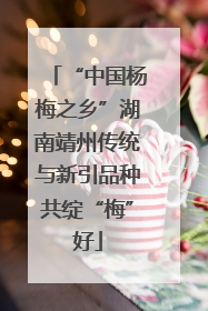 “中国杨梅之乡”湖南靖州传统与新引品种共绽“梅”好