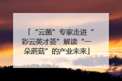 “云菌”专家走进“彩云英才荟”解读“一朵蘑菇”的产业未来