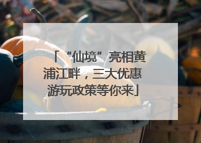 “仙境”亮相黄浦江畔，三大优惠游玩政策等你来