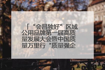 “会昌独好”区域公用品牌第一届高质量发展大会暨中国质量万里行“质量强企•质品行动”进会昌启动仪式成功举办