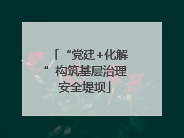“党建+化解”构筑基层治理安全堤坝
