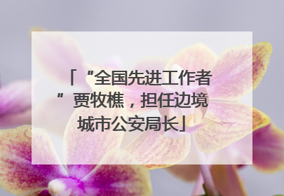 “全国先进工作者”贾牧樵，担任边境城市公安局长