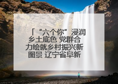“六个你”浸润乡土底色 党群合力绘就乡村振兴新图景 辽宁省阜新市以民生温度激活乡村善治密码