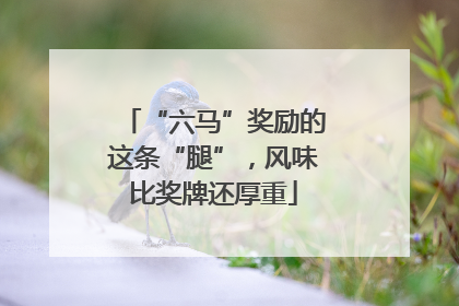 “六马”奖励的这条“腿”，风味比奖牌还厚重