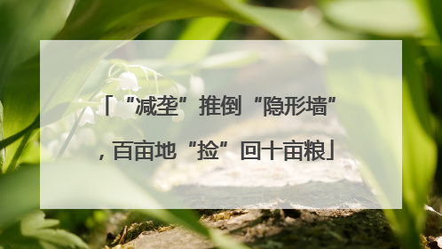 “减垄”推倒“隐形墙”，百亩地“捡”回十亩粮