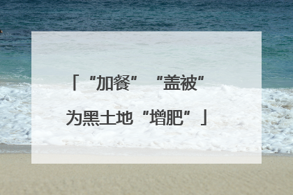 “加餐”“盖被” 为黑土地“增肥”