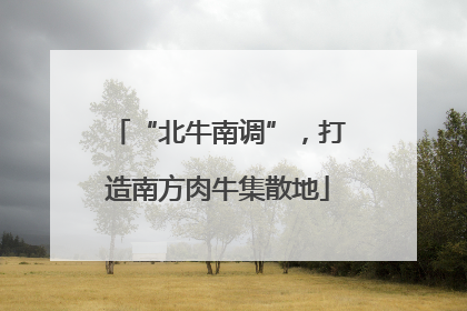 “北牛南调”，打造南方肉牛集散地