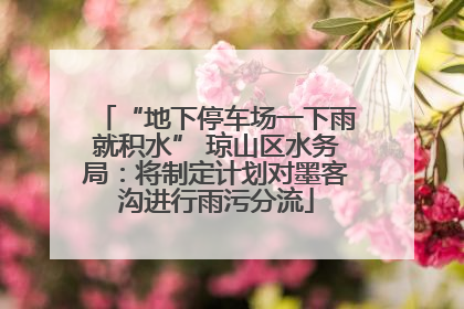 “地下停车场一下雨就积水” 琼山区水务局：将制定计划对墨客沟进行雨污分流