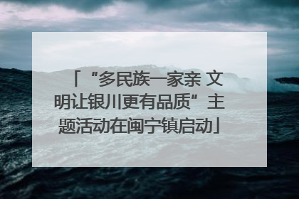 “多民族一家亲 文明让银川更有品质”主题活动在闽宁镇启动
