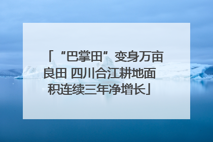 “巴掌田”变身万亩良田 四川合江耕地面积连续三年净增长