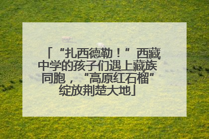 “扎西德勒！”西藏中学的孩子们遇上藏族同胞，“高原红石榴”绽放荆楚大地