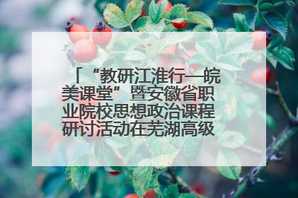 “教研江淮行—皖美课堂”暨安徽省职业院校思想政治课程研讨活动在芜湖高级职业技术学校举行