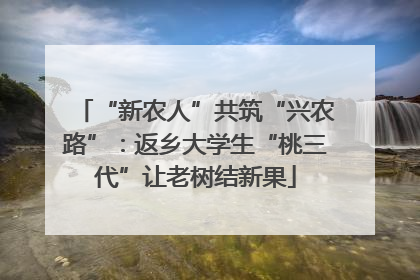 “新农人”共筑“兴农路”：返乡大学生“桃三代”让老树结新果