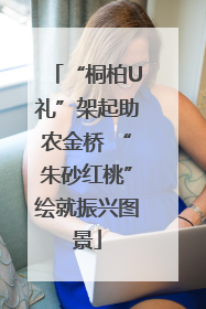 “桐柏U礼”架起助农金桥 “朱砂红桃”绘就振兴图景