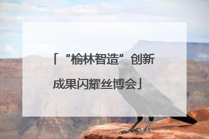 “榆林智造”创新成果闪耀丝博会