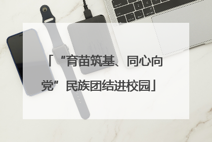 “育苗筑基、同心向党”民族团结进校园