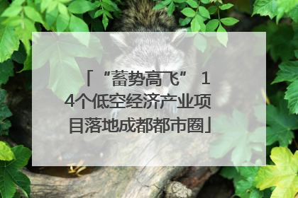 “蓄势高飞” 14个低空经济产业项目落地成都都市圈