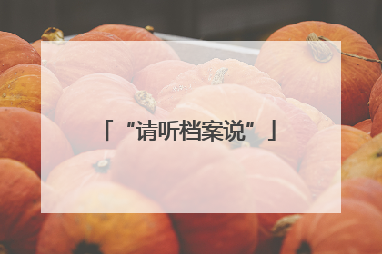 “请听档案说”