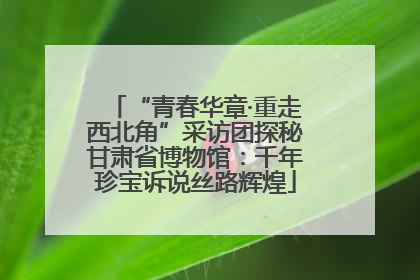 “青春华章·重走西北角”采访团探秘甘肃省博物馆：千年珍宝诉说丝路辉煌