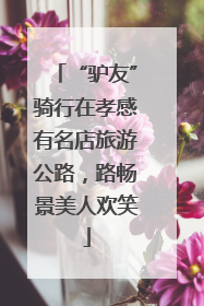 “驴友”骑行在孝感有名店旅游公路，路畅景美人欢笑