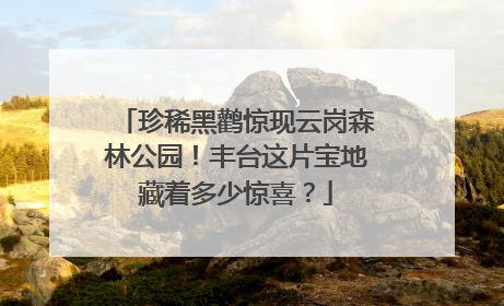 珍稀黑鹳惊现云岗森林公园！丰台这片宝地藏着多少惊喜？