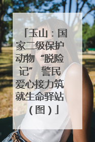 玉山：国家二级保护动物“脱险记” 警民爱心接力筑就生命驿站（图）