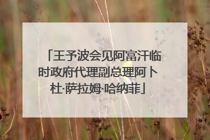 王予波会见阿富汗临时政府代理副总理阿卜杜·萨拉姆·哈纳菲