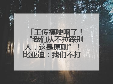 王传福哽咽了！“我们从不拉踩别人，这是原则”！比亚迪：我们不打价格战