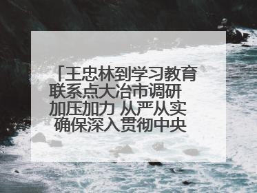 王忠林到学习教育联系点大冶市调研 加压加力 从严从实 确保深入贯彻中央八项规定精神学习教育取得实效