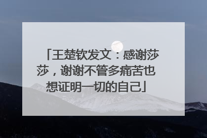 王楚钦发文：感谢莎莎，谢谢不管多痛苦也想证明一切的自己