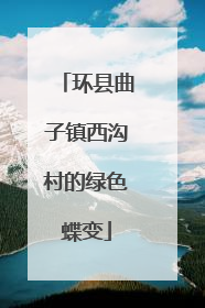 环县曲子镇西沟村的绿色蝶变