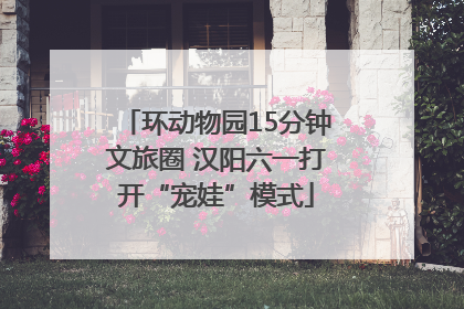 环动物园15分钟文旅圈 汉阳六一打开“宠娃”模式